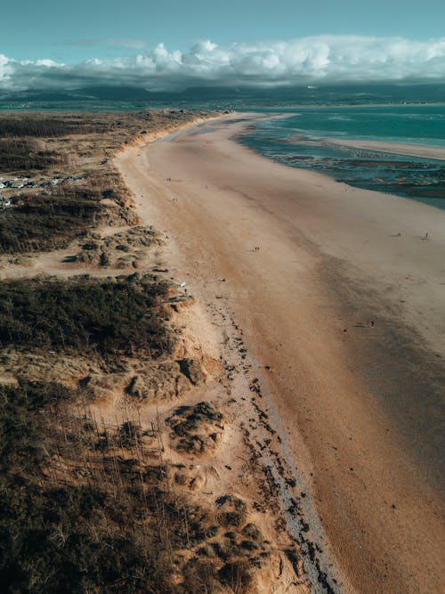 คลังภาพถ่ายฟรี ของ ชายหาด, ดูนกตา, ทะเล