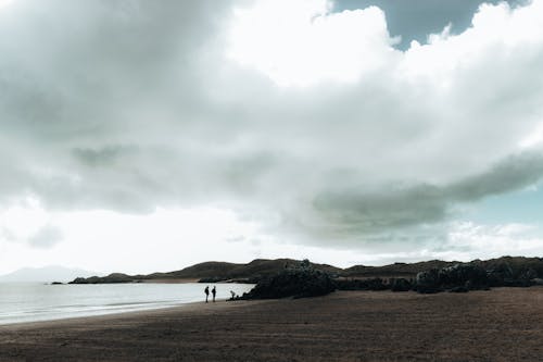 A person walking on the beach with a dog