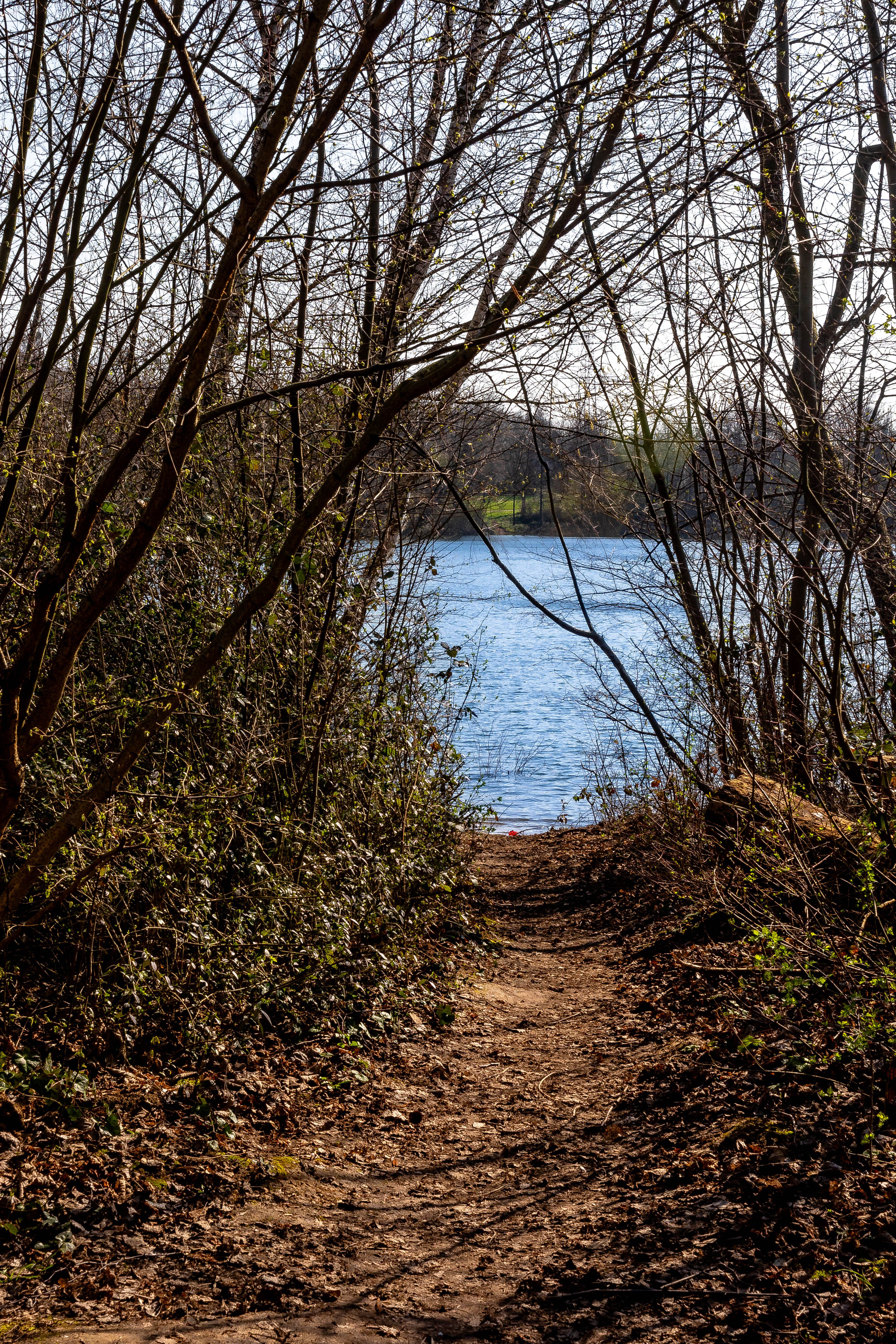things to do in stevens point