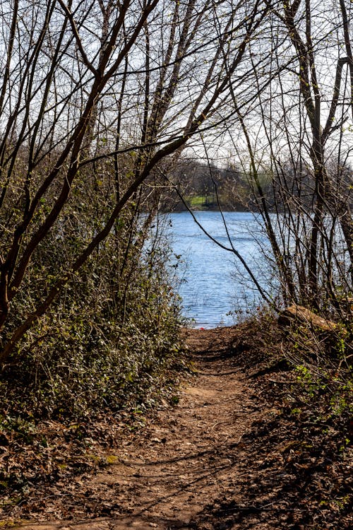 Footpath on a Riverbank