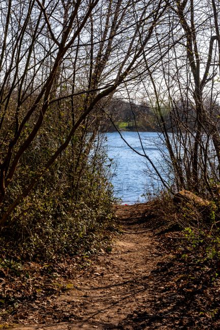 Walk the Green Circle Trail things to do in stevens point