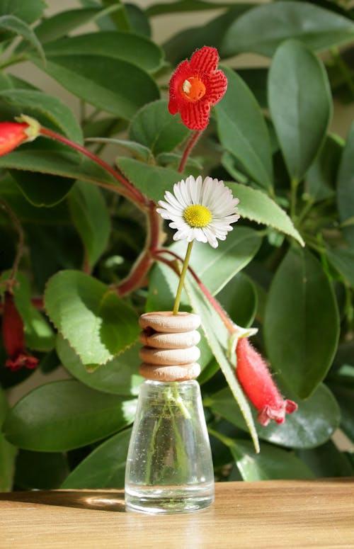 A small vase with a flower in it and a plant
