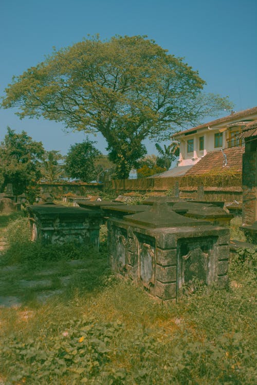 Dutch Cemetery in Ernakulam
