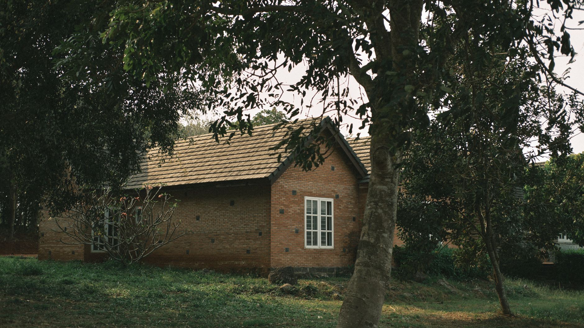 Jammabane Cottage Coorg: A Guide to This Hidden Stay