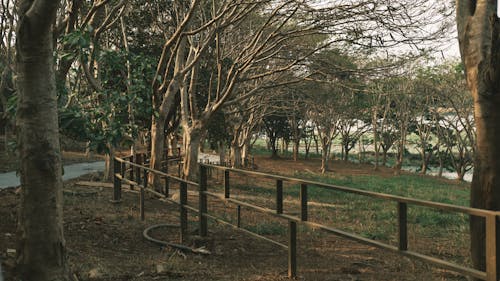 A man walking on a path next to a fence