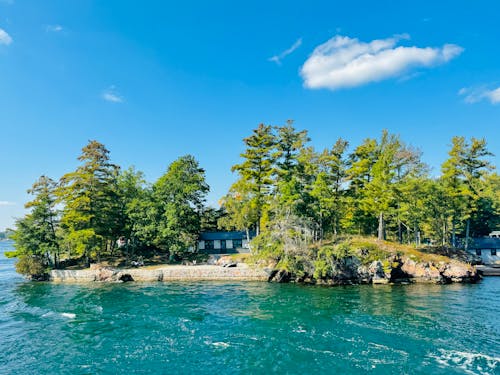 A small island surrounded by trees and water