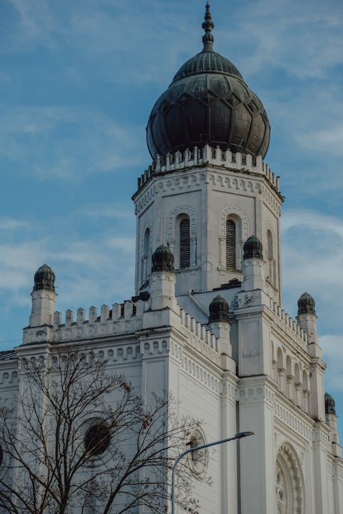 Kostenloses Stock Foto zu baum, kecskemét, kirche