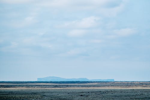 A lone horse standing in the middle of a plain