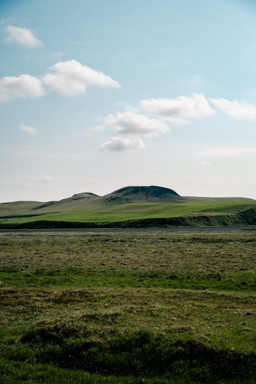 Gratis lagerfoto af bakke, græsarealer, landdistrikt