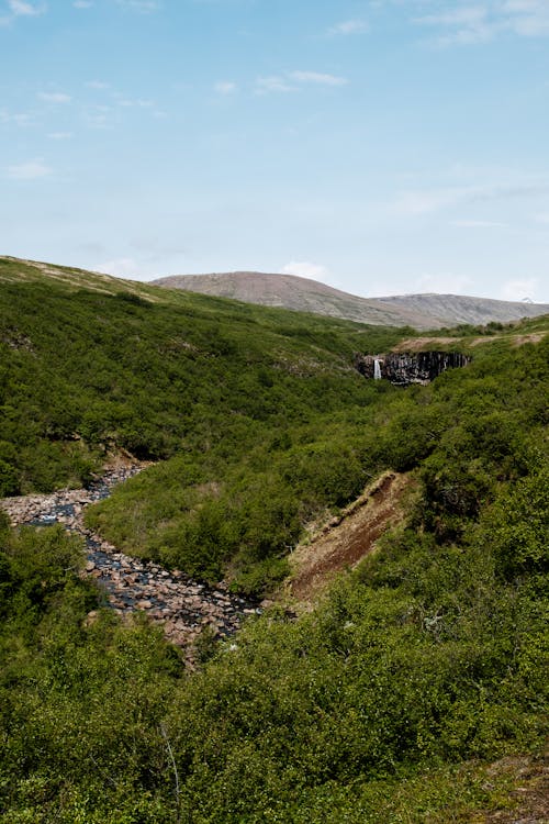 A view of a valley with a stream running through it