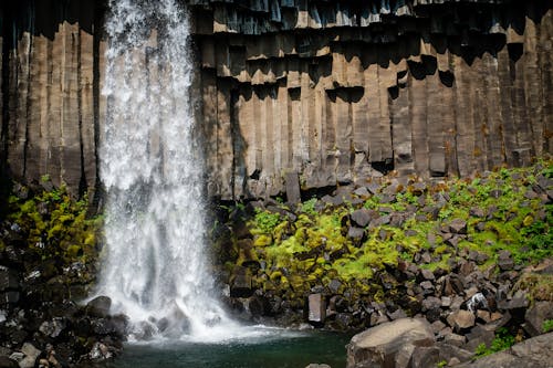 Foto profissional grátis de água corrente, cachoeira, corroído
