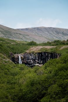 Discover the captivating beauty of Svartifoss waterfall surrounded by lush greenery in Iceland's nature.