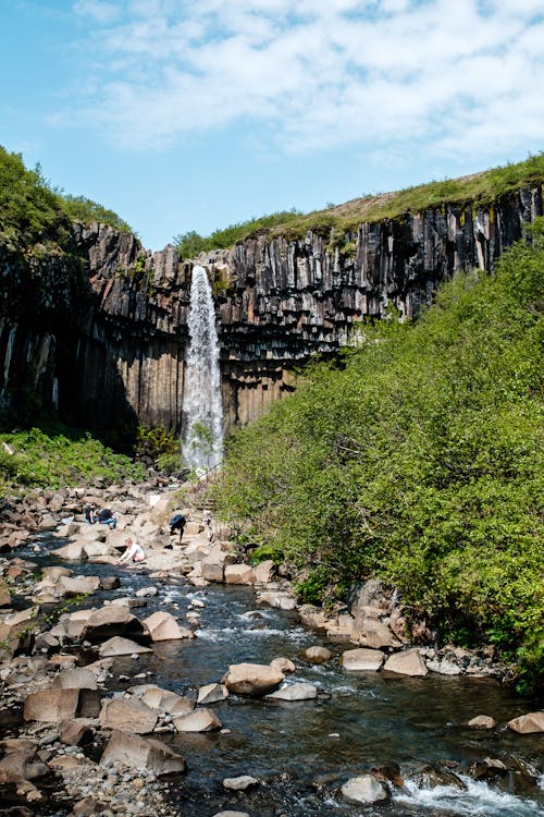 Foto profissional grátis de abismo, árvores, cachoeira