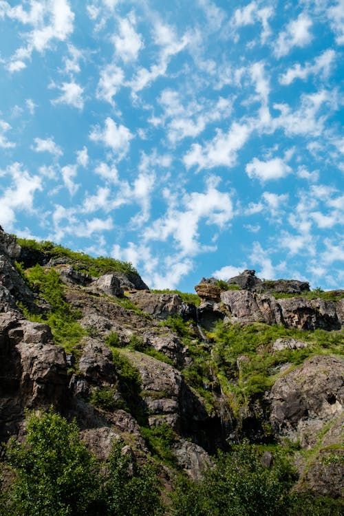 Imagine de stoc gratuită din călătorie, fotografiere verticală, iarbă