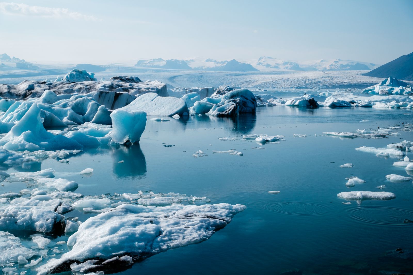 Icebergs floating in the Jokulsarlon glacier lagoon in Iceland