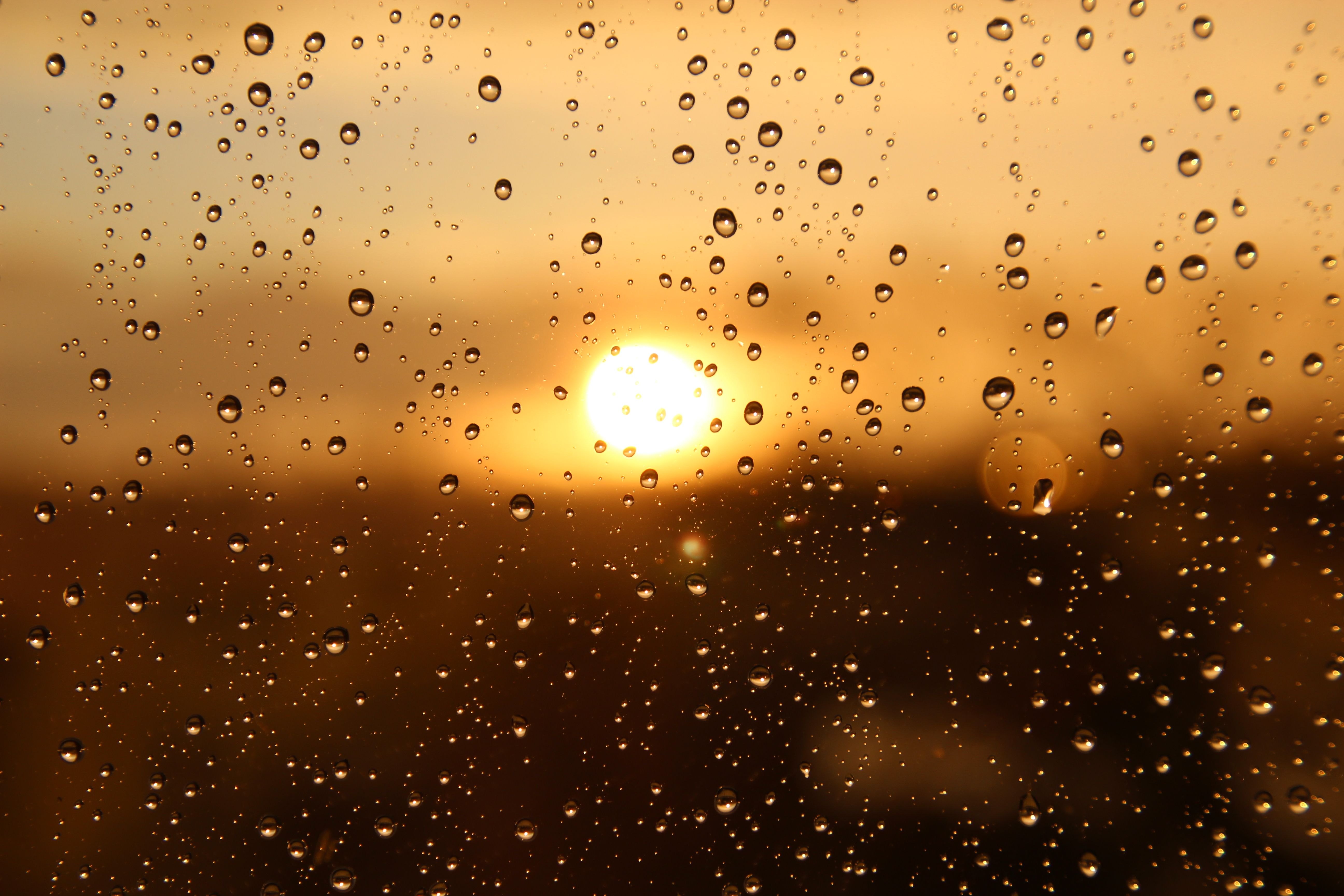 Solacious Solace Photos, Download The BEST Free Solace Stock Photos & HD Images