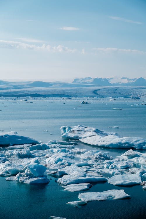 Základová fotografie zdarma na téma krajina, led, ledová kra