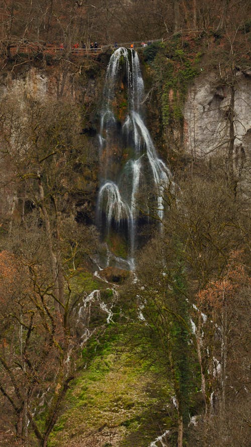 Foto d'estoc gratuïta de arbres, cascada, fluint