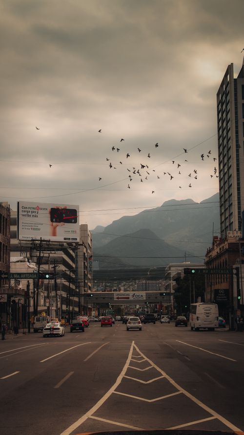 Free Vibrant urban street scene in Monterrey, Nuevo León with mountains and sky full of birds. Stock Photo