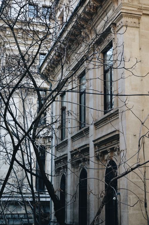 Free Elegant historic building facade intertwined with bare tree branches in an urban setting. Stock Photo