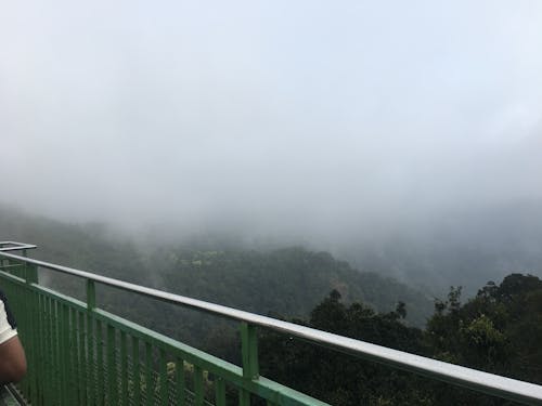 Mist in Kerala