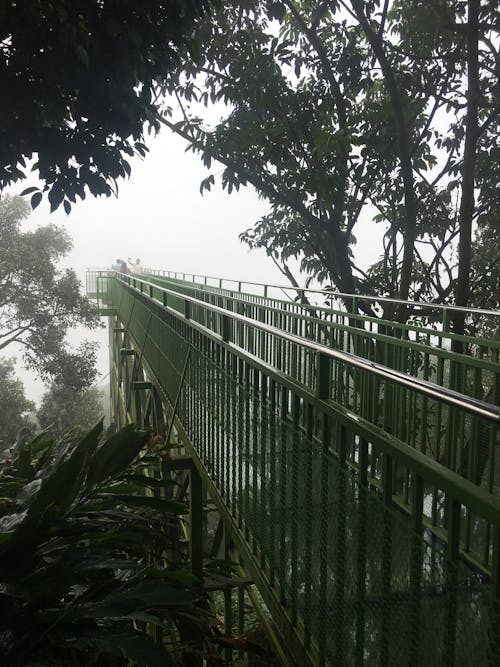 Footbridge over Ground in Kerala, India