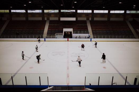 Ottawa 67's Fans Take Note: OHL Players Can Now Seek Abuse Compensation