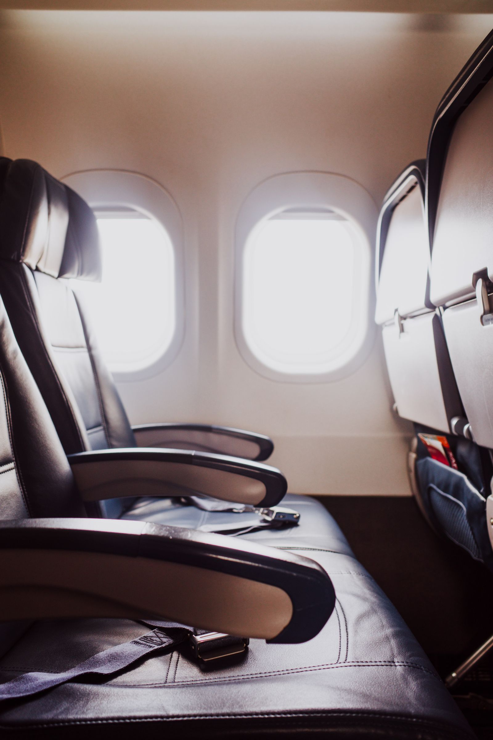 Empty leather aircraft seats beside cabin windows