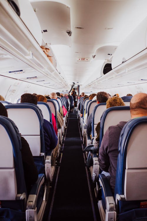 People sitting in the seats of an airplane