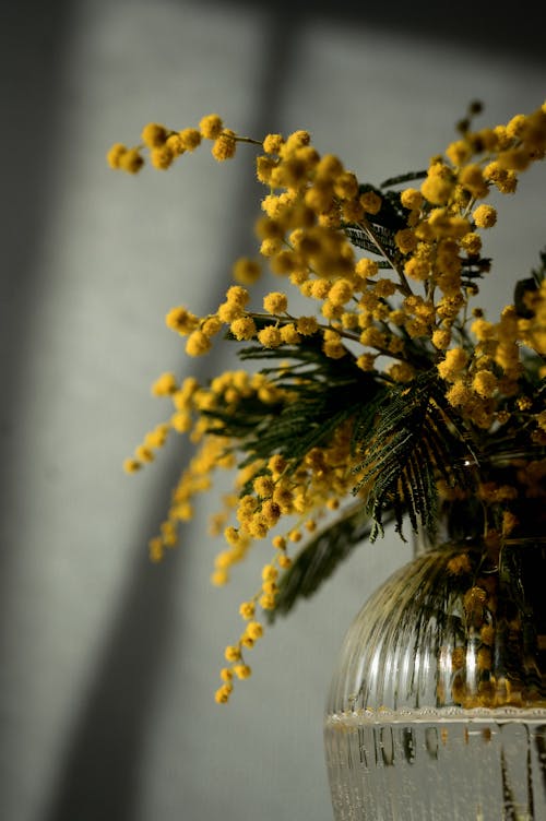 A vase with yellow flowers in it