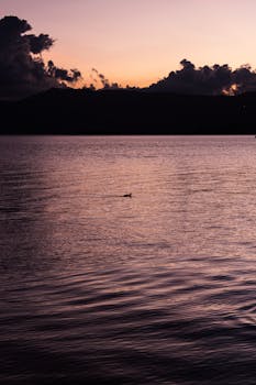 A serene sunrise over a lake with a solitary bird silhouette on the water.
