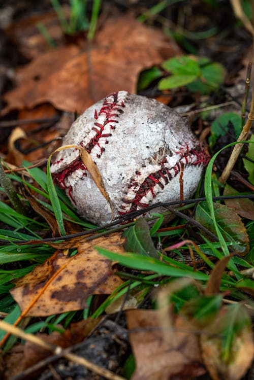 A baseball lying on the ground in the grass