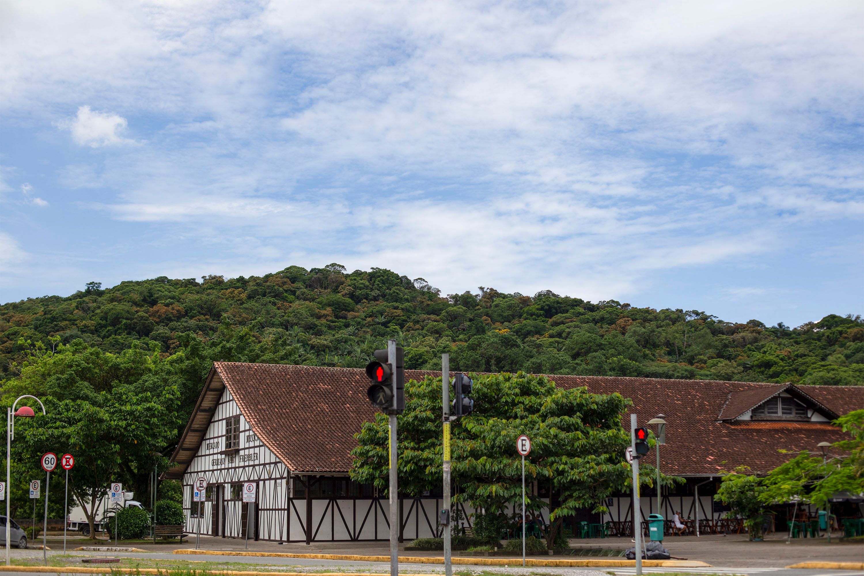 Foto: Gabrielli  Pereira / Pexels