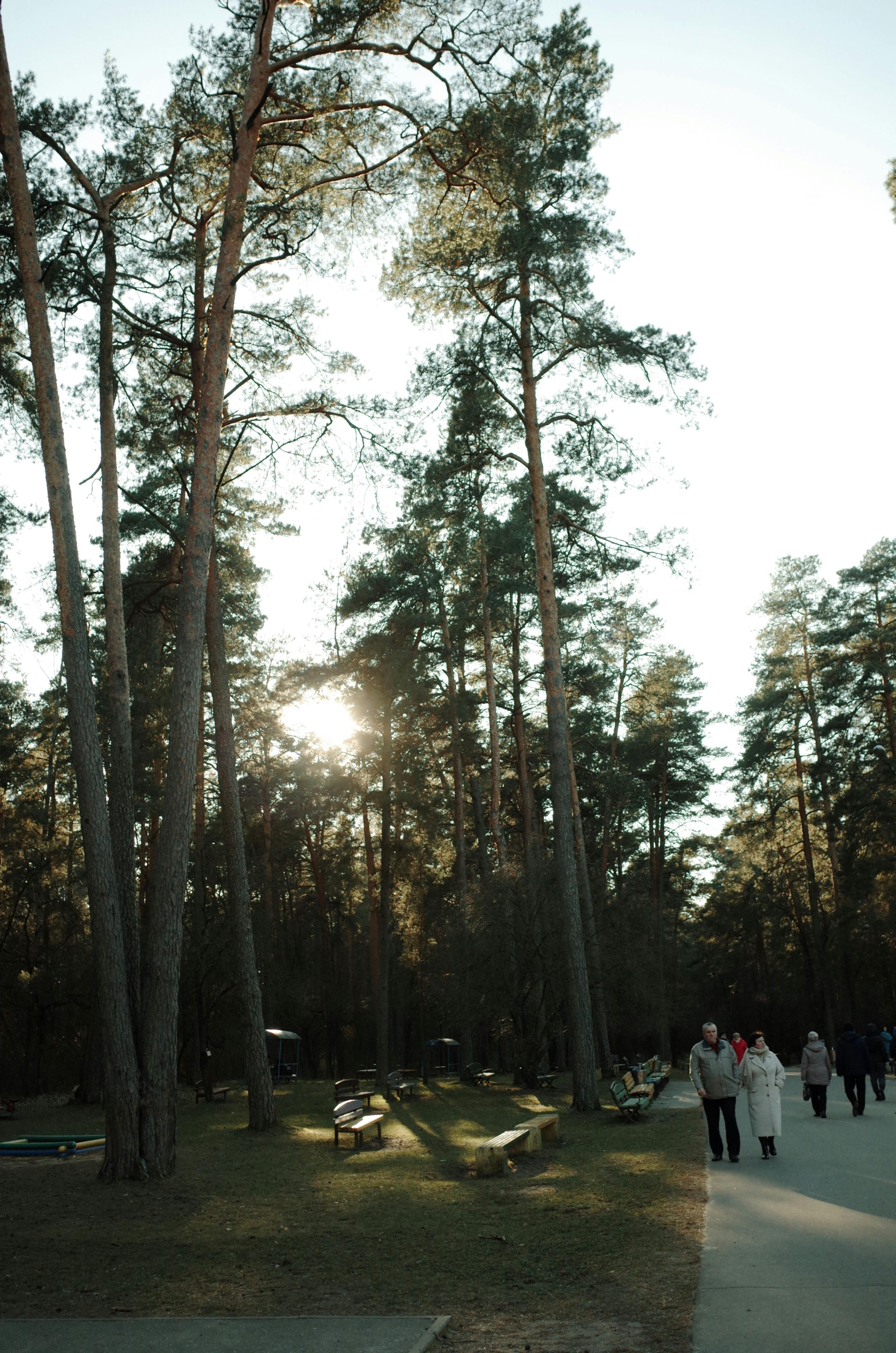 Gratuit Oameni Care Se Plimbă într Un Parc Fotografie de stoc
