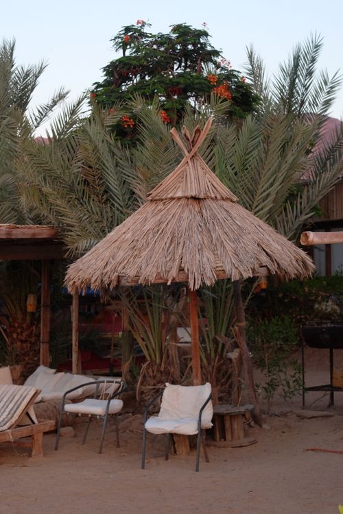 Free Cozy thatched hut with palm background in a tropical resort, South Sinai, Egypt. Stock Photo