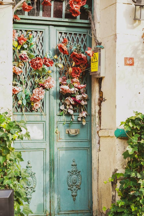 คลังภาพถ่ายฟรี ของ กำแพง, ดอกไม้, ประตู