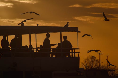 feribot, gün batımı, gün doğumu içeren Ücretsiz stok fotoğraf