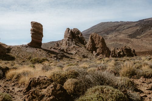 The rocky landscape in the desert with a mountain in the background