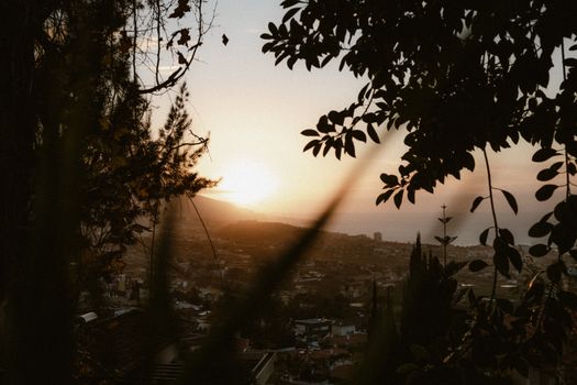 A tranquil coastal town view at sunset, framed by silhouetted leaves and branches.