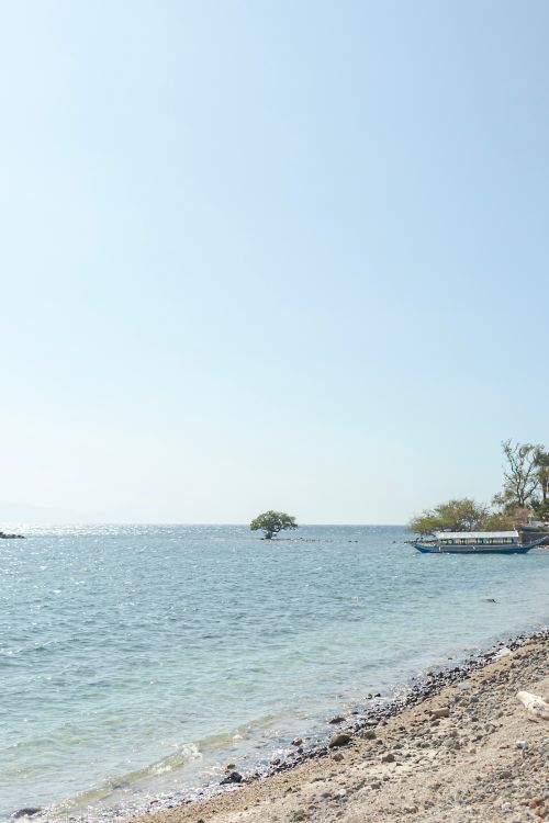 Free A tranquil scene of a beach with clear skies and a gentle ocean wave. Stock Photo