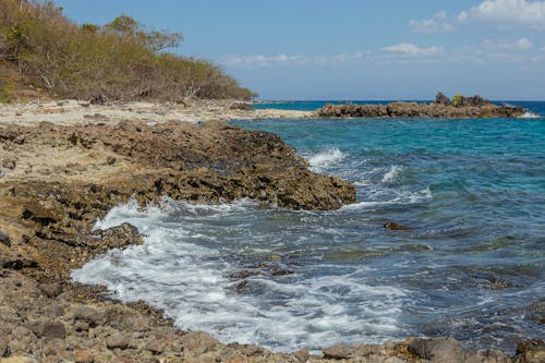 Foto profissional grátis de arbustos, beira-mar, mar azul