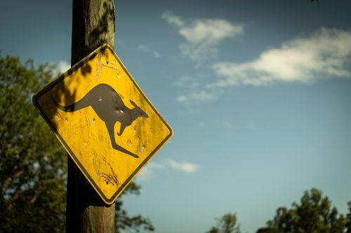 Free A kangaroo crossing sign against a clear sky in Brisbane, Australia, depicting wildlife caution. Stock Photo