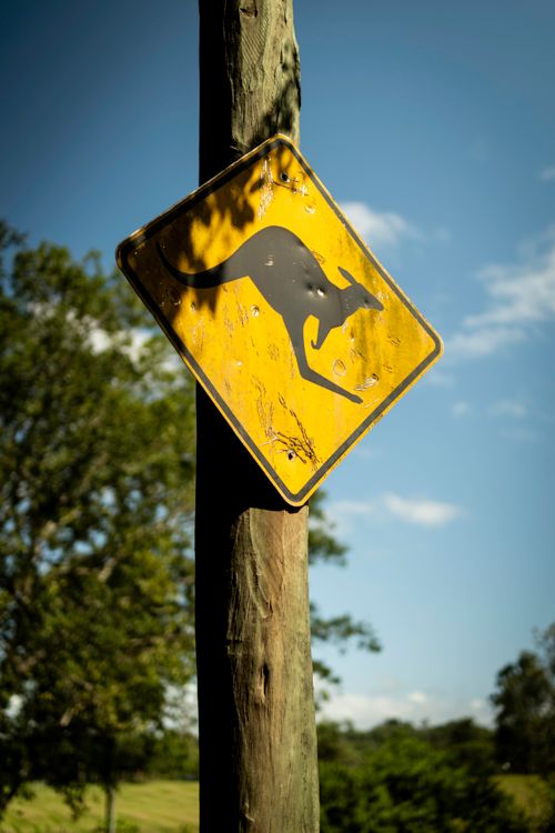 Free A faded kangaroo warning sign on a pole in rural Brisbane, Australia. Stock Photo