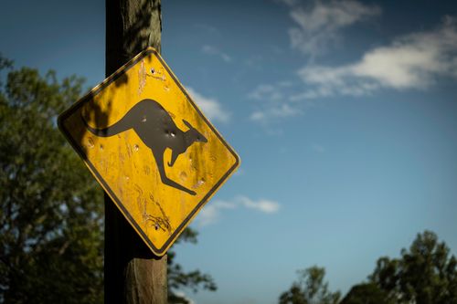 Free Kangaroo crossing road sign in Brisbane, Australia with clear blue sky background. Stock Photo