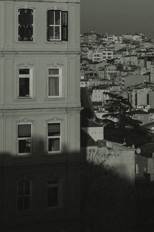 Foto profissional grátis de branco e preto, Istambul, peru