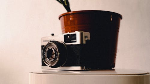Základová fotografie zdarma na téma analogový, fotoaparát, květináč