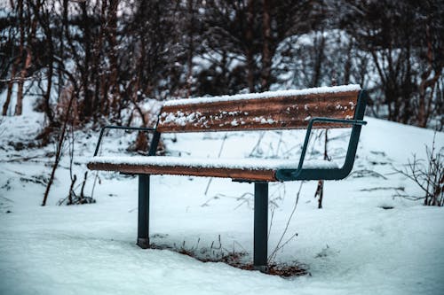 Mit Schnee Bedeckte Bank