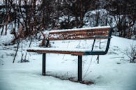 Bench Covered in Snow