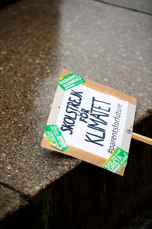 Gratis Fotos de stock gratuitas de activista del clima, al aire libre, banderola Foto de stock
