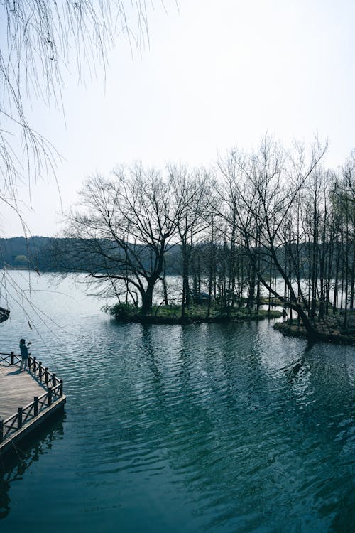 A lake with a dock and trees in the background